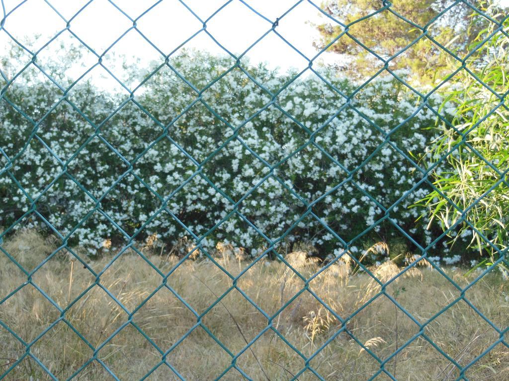 ホテル Jardins Da Balaia アルブフェイラ エクステリア 写真